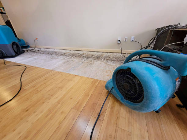 Professional Water Damage Repair technician working in Nome, ND